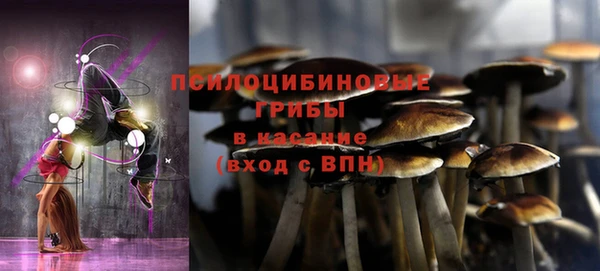 a pvp Алексин