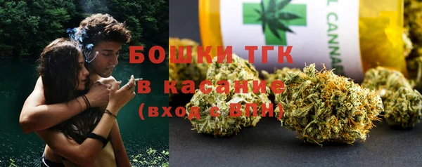 гашик Алексеевка