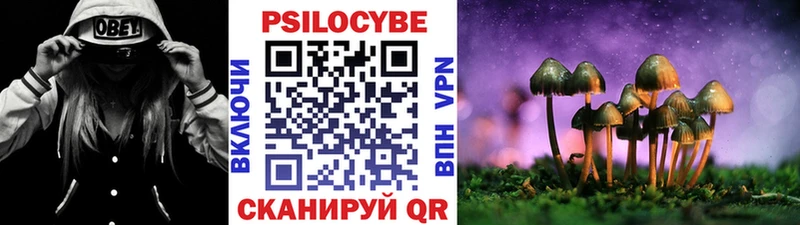 Псилоцибиновые грибы Psilocybine cubensis Невинномысск